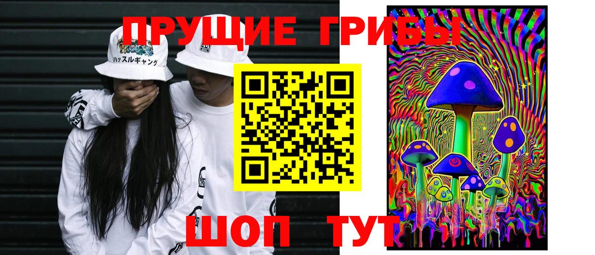 Галлюциногенные грибы Cubensis  Вход с VPN  Сарапул 