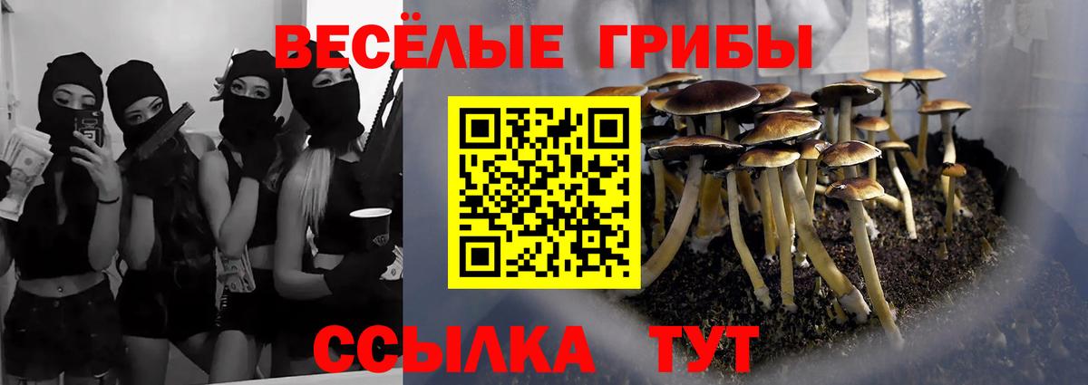 Галлюциногенные грибы ЛСД Сарапул